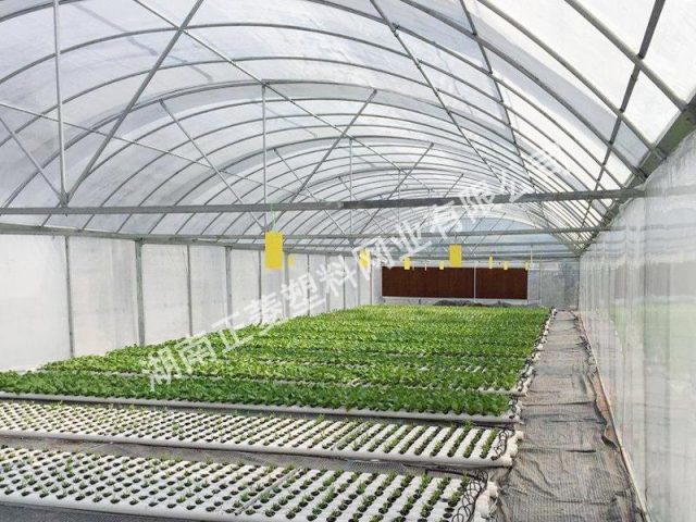 蔬菜大棚遮陽(yáng)網(wǎng)案例