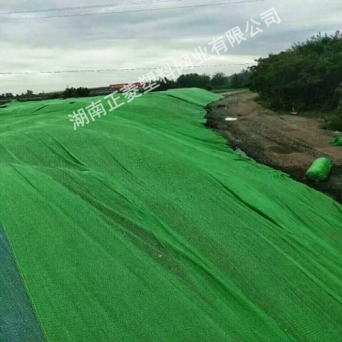 湖南長沙市青竹湖街道湘粵安置小區(qū)旁新建市場(chǎng)蓋土實(shí)景